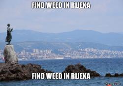 Find Weed in Rijeka