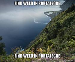 Find Weed in Portalegre