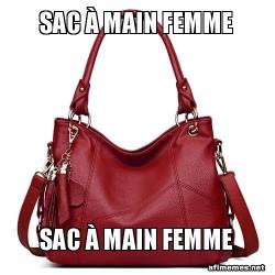 sac Ã  main Femme