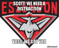 Essendon Bombers