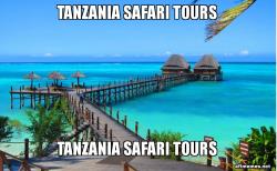 Tanzania Safari Tours
